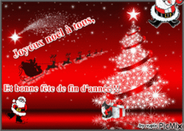 JOYEUX NOEL ET BONNES FETES DE FIN D'ANNEE