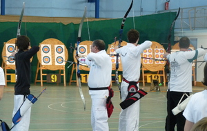 50ea8fd54c11b_tir a l'arc 1er dec 2012-fougeres 009.JPG