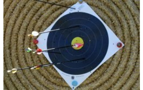 Tir du roi 14 mai 2011