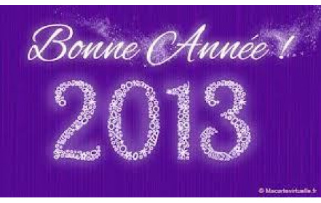 BONNE ANNEE 2013