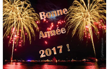 BONNE ET HEUREUSE ANNEE 2017