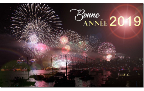 BONNE ET HEUREUSE ANNEE 2019