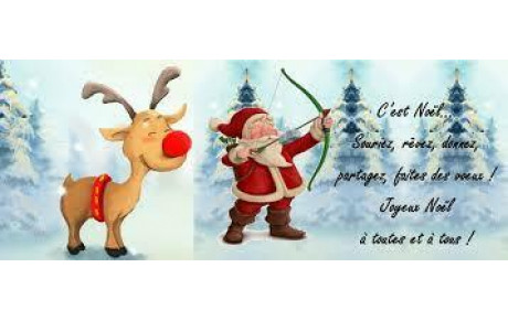JOYEUX NOEL ET BONNES FETES DE FIN D'ANNEE
