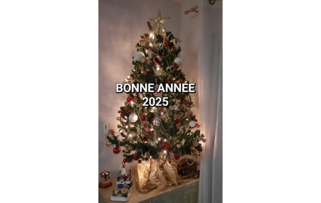 BONNE ET HEUREUSE ANNEE 2025